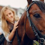 Sprzęt jeździecki –  dlaczego warto go kupić wyłącznie w profesjonalnym sklepie jeździeckim?